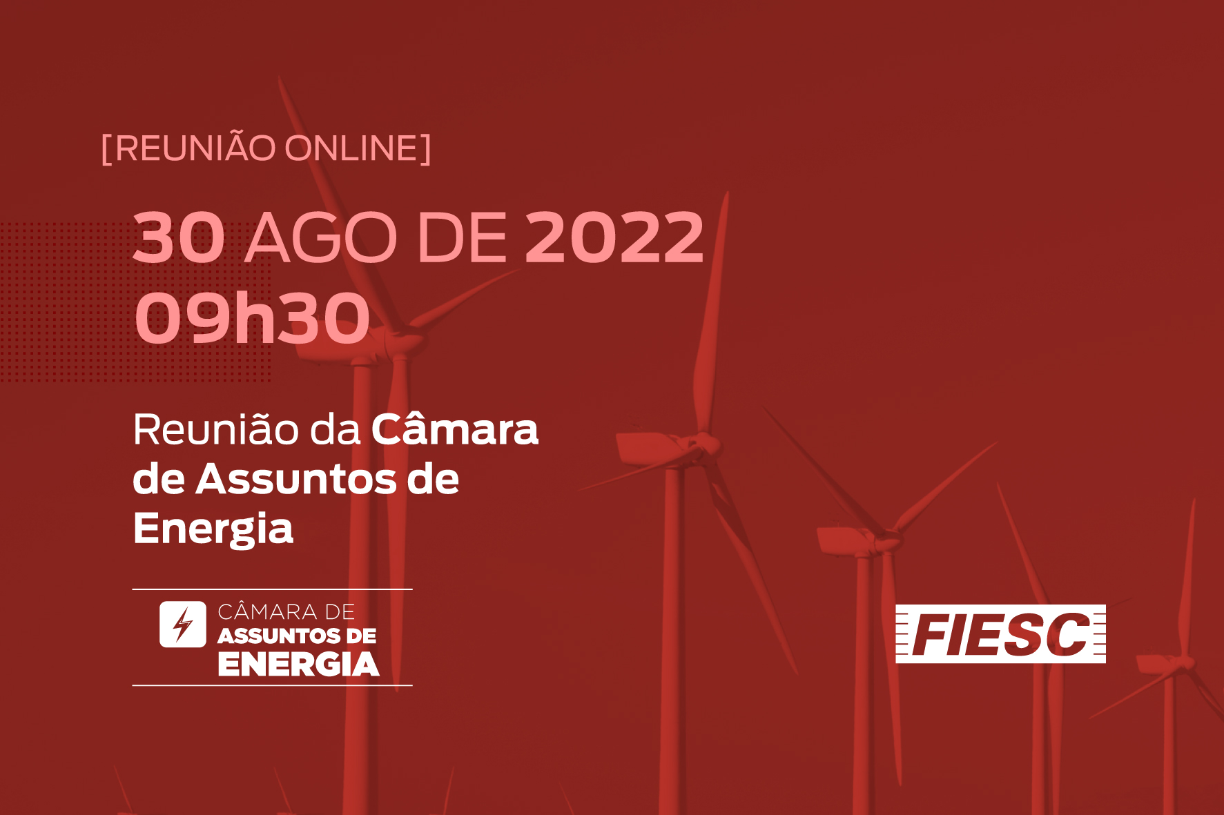 Reunião da Câmara de Assuntos de Energia
