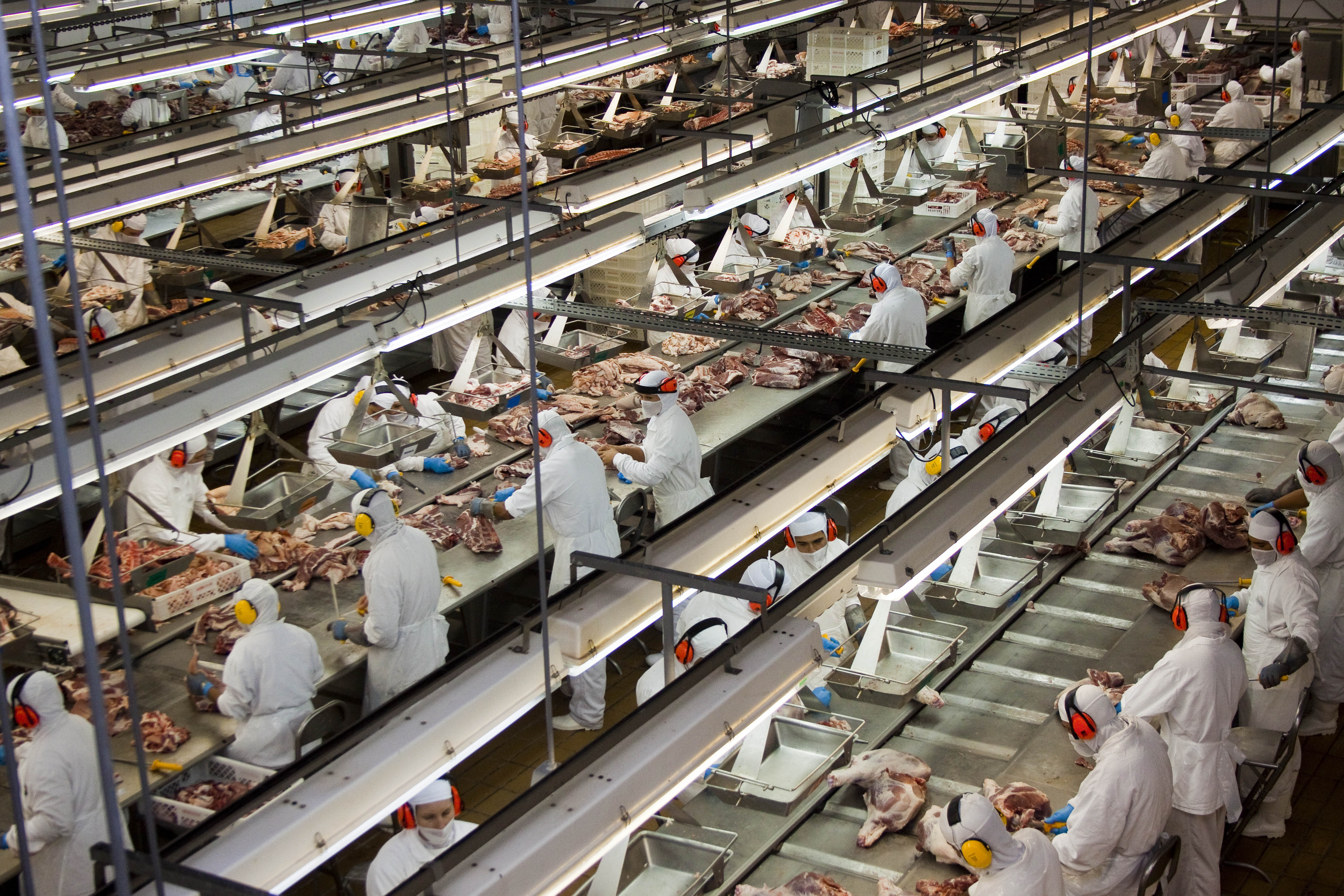 Imagem 991 no node 2760